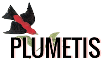 logo plumetis magazine